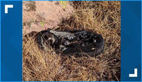 Colorado Michelle Vanek Missing Update 2023: Is She Found Yet?